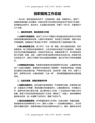 挂职锻炼工作总结.docx