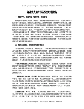 某村支部书记述职报告.docx