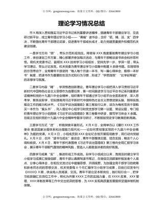 理论学习情况总结.docx