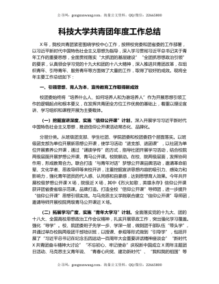 科技大学共青团年度工作总结.docx