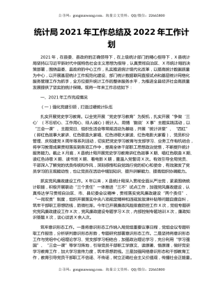 统计局2021年工作总结及2022年工作计划.docx
