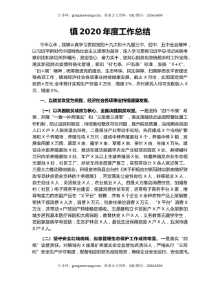 镇2020年度工作总结.docx