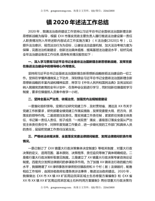 镇2020年述法工作总结.docx