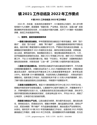 镇2021工作总结及2022年工作要点.docx