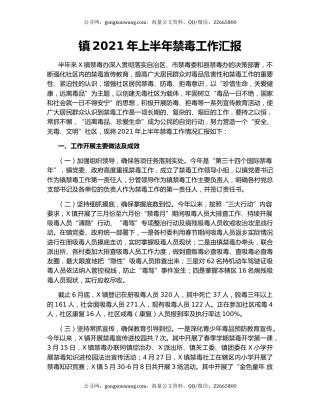 镇2021年上半年禁毒工作汇报.docx