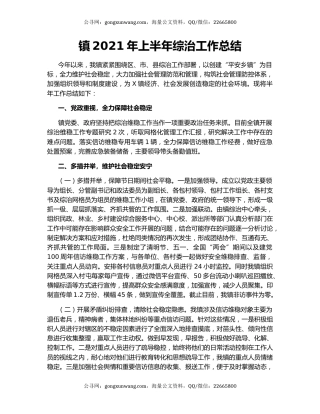 镇2021年上半年综治工作总结.docx