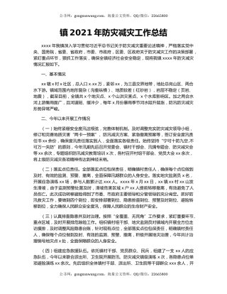 镇2021年防灾减灾工作总结.docx