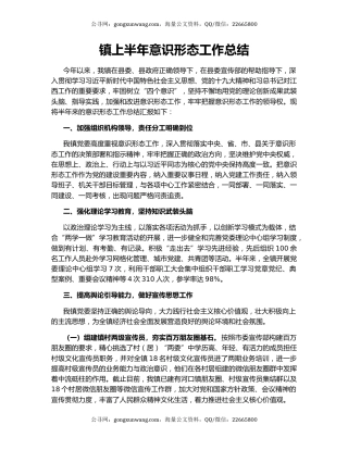 镇上半年意识形态工作总结.docx