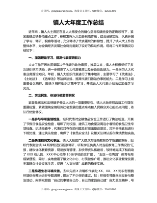 镇人大年度工作总结.docx