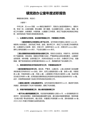 镇党政办公室年度述职报告.docx