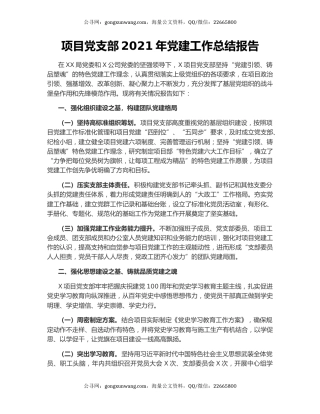 项目党支部2021年党建工作总结报告.docx