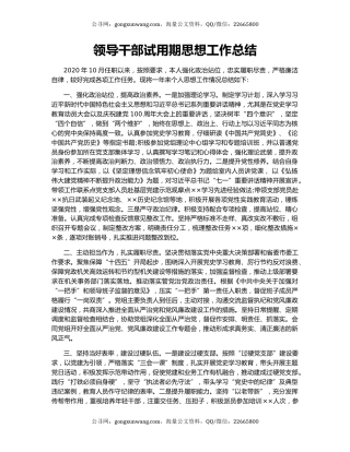 领导干部试用期思想工作总结.docx