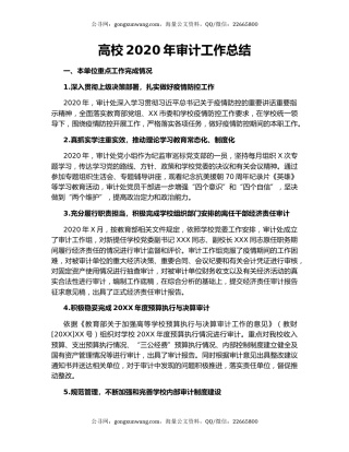 高校2020年审计工作总结.docx