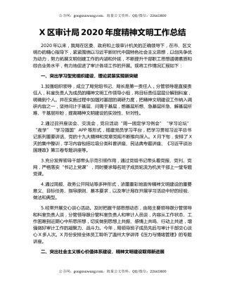 X区审计局2020年度精神文明工作总结（2）.docx