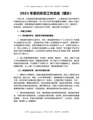 2021年意识形态工作总结（镇乡）