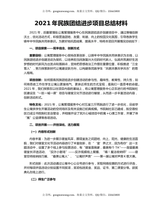 2021年民族团结进步项目总结材料