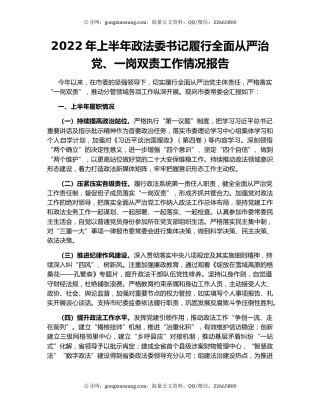 2022年上半年政法委书记履行全面从严治党、一岗双责工作情况报告