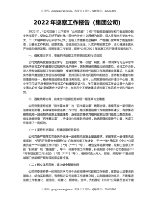 2022年巡察工作报告（集团公司）
