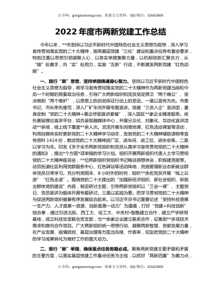 2022年度市两新党建工作总结