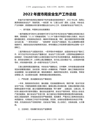 2022年度市局安全生产工作总结