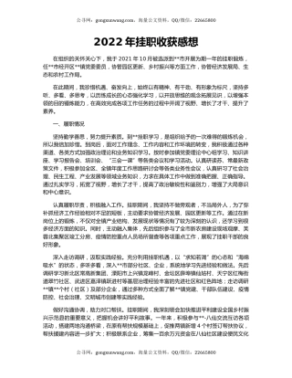 2022年挂职收获感想