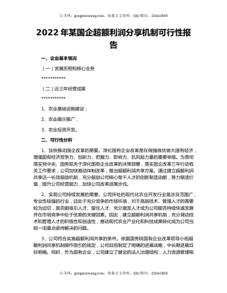 2022年某国企超额利润分享机制可行性报告