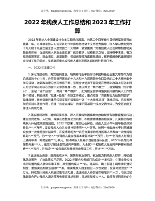 2022年残疾人工作总结和2023年工作打算