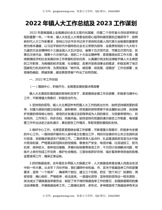 2022年镇人大工作总结及2023工作谋划