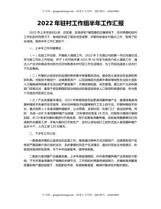 2022年驻村工作组半年工作汇报