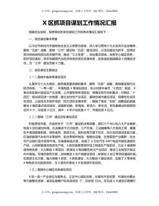 X区抓项目谋划工作情况汇报