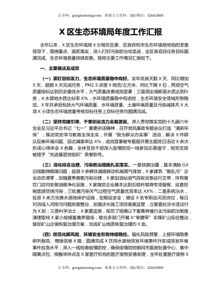 X区生态环境局年度工作汇报