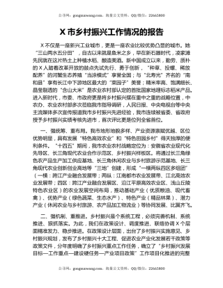 X市乡村振兴工作情况的报告