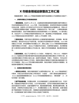 X市粮食领域巡察整改工作汇报