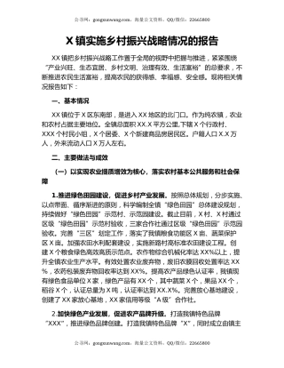 X镇实施乡村振兴战略情况的报告