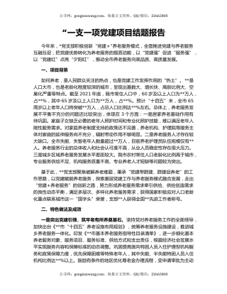 “一支一项党建项目结题报告