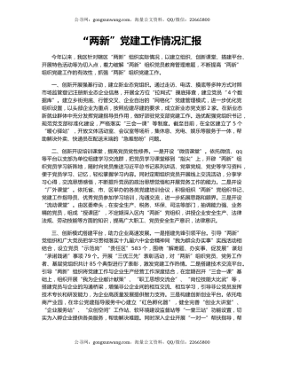 “两新”党建工作情况汇报