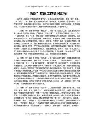 “两新”党建工作情况汇报（2）