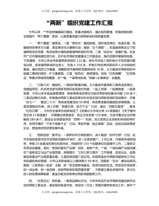 “两新”组织党建工作汇报