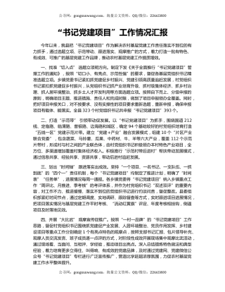 “书记党建项目”工作情况汇报