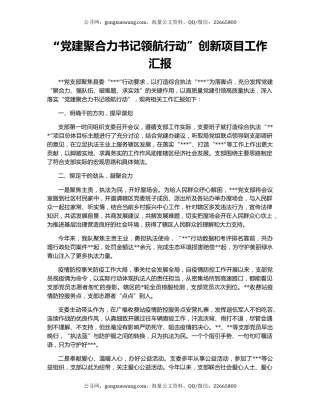 “党建聚合力书记领航行动”创新项目工作汇报