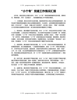 “小个专”党建工作情况汇报