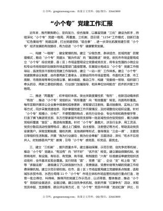 “小个专”党建工作汇报