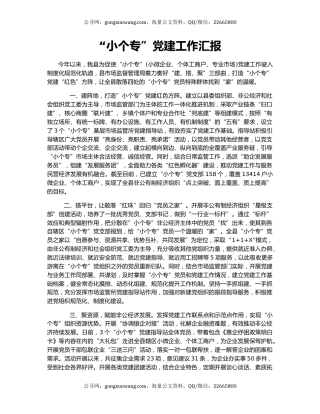 “小个专”党建工作汇报（3）