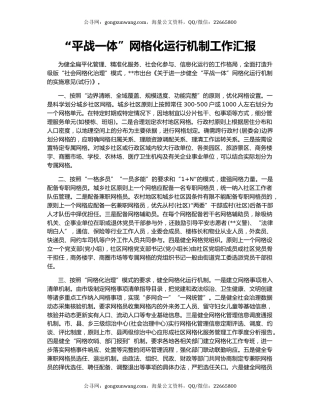 “平战一体”网格化运行机制工作汇报