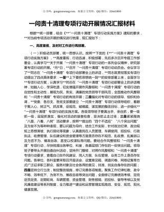 一问责十清理专项行动开展情况汇报材料