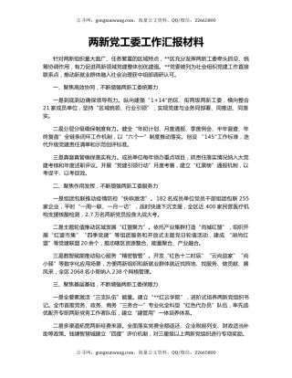 两新党工委工作汇报材料