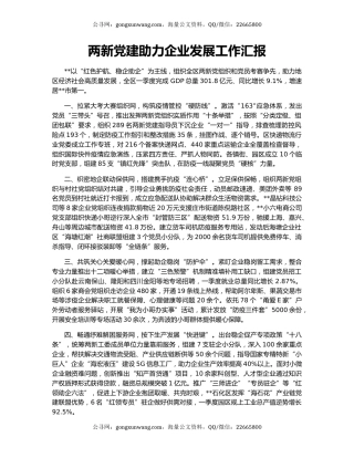 两新党建助力企业发展工作汇报