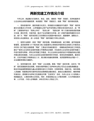 两新党建工作情况介绍