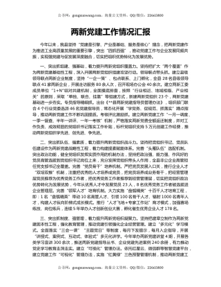 两新党建工作情况汇报（3）