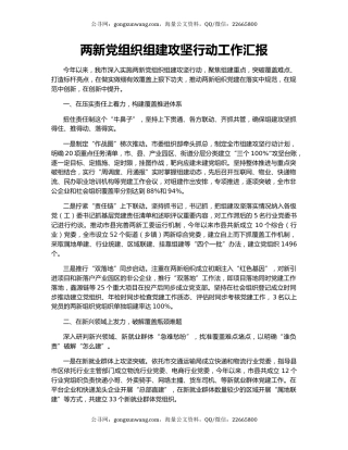 两新党组织组建攻坚行动工作汇报